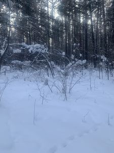 8150bcc2 7720 4bc1 ad92 4e57d3ec366b